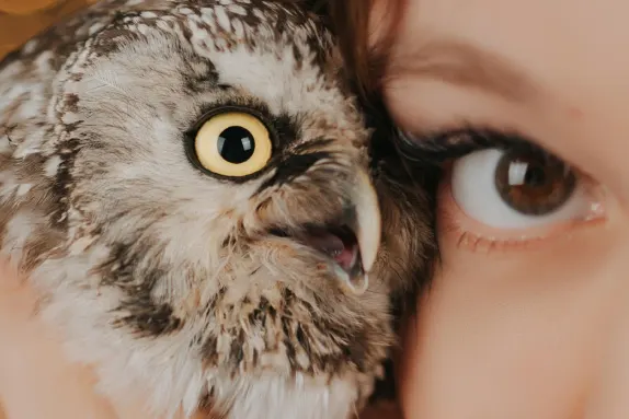 ΚασινοΚασινο Καζίνο Υποστηριξη